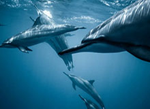 开运体育手机APP下载-NG体育：用科技点亮运动的每一天